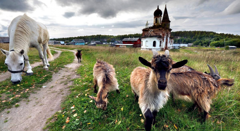 Фото белая гора карелия